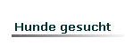 Hunde gesucht