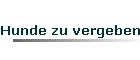 Hunde zu vergeben