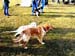 2008W_079